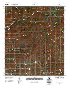 Swayback Mountain 2010 topographic map thumbnail