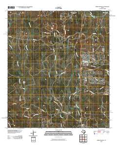 Spring Branch 2010 topographic map thumbnail