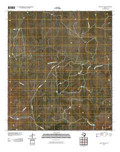 Well Hollow 2010 topographic map thumbnail