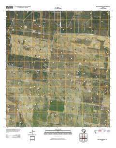 Bentsen Ranch 2010 topographic map thumbnail