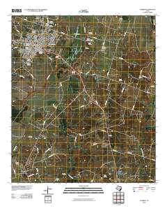 Cameron 2010 topographic map thumbnail