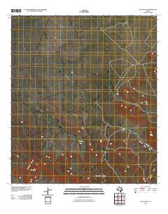 Cactus Flat 2010 topographic map thumbnail
