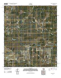 Bevil Oaks 2010 topographic map thumbnail