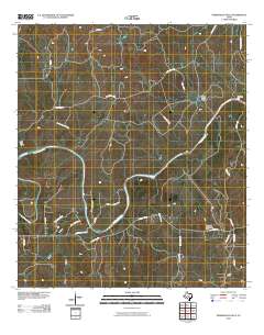 Pedernales Falls 2010 topographic map thumbnail