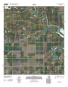 Rincon Bend 2010 topographic map thumbnail