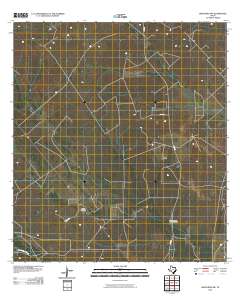 Benavides NW 2010 topographic map thumbnail
