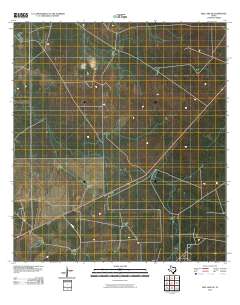 Biel Lake SE 2010 topographic map thumbnail