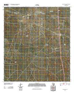 Cage Ranch 2010 topographic map thumbnail