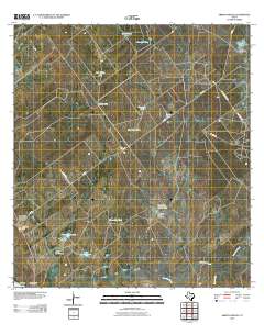 Arroyo Miguel 2010 topographic map thumbnail