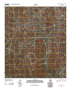 Baggett Ranch 2010 topographic map thumbnail
