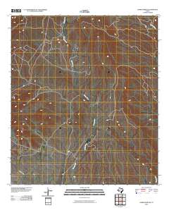 Cerros Prietos 2010 topographic map thumbnail