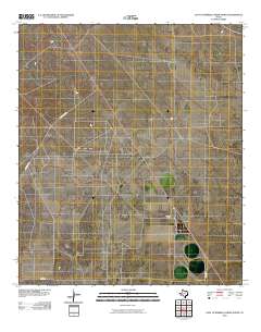 East of Barrilla Draw North 2010 topographic map thumbnail