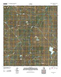 Alamito Creek 2010 topographic map thumbnail
