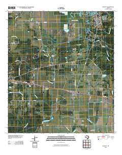 Daisetta 2010 topographic map thumbnail