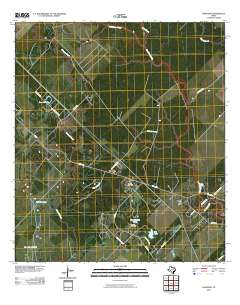 Danciger 2010 topographic map thumbnail