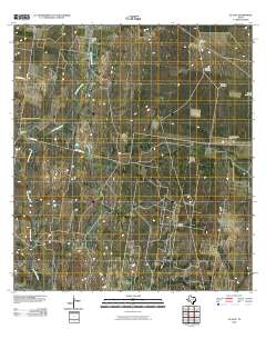 El Sauz 2010 topographic map thumbnail