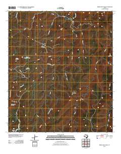 Friend Mountain 2010 topographic map thumbnail