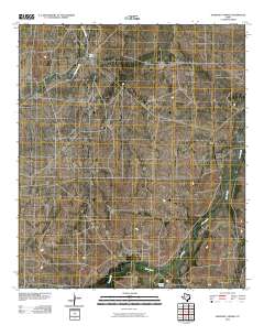 Diamond Y Spring 2010 topographic map thumbnail