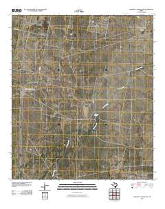 Diamond Y Spring NW 2010 topographic map thumbnail