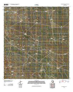 Falfurrias SE 2010 topographic map thumbnail