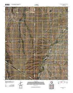 Coyanosa SE 2010 topographic map thumbnail