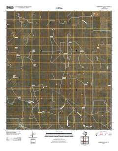 Hebbronville SE 2010 topographic map thumbnail