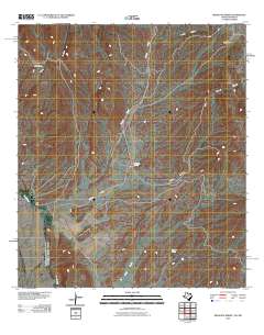Mesquite Spring 2010 topographic map thumbnail