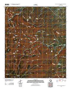 Little Aguja Mountain 2010 topographic map thumbnail