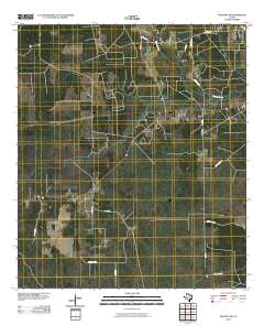 Kountze SW 2010 topographic map thumbnail