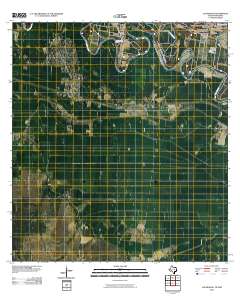 Los Ebanos 2010 topographic map thumbnail