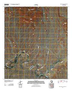 Reed Camp 2010 topographic map thumbnail