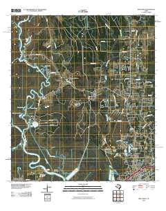 Pine Forest 2010 topographic map thumbnail