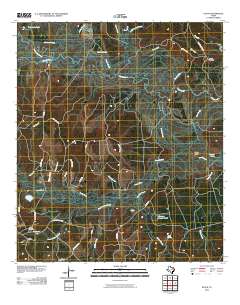 Pluck 2010 topographic map thumbnail