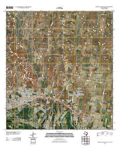 Roma-Los Saenz East 2010 topographic map thumbnail