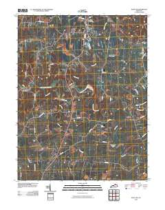 Mays Lick 2010 topographic map thumbnail