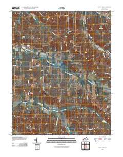 Fancy Farm 2010 topographic map thumbnail