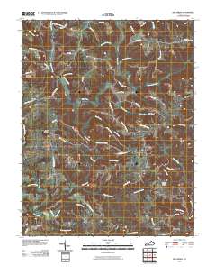 Bee Spring 2010 topographic map thumbnail