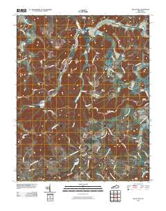 Haleys Mill 2010 topographic map thumbnail