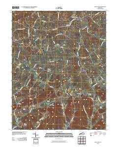 Paint Lick 2010 topographic map thumbnail