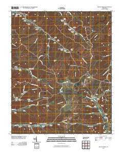 Graves Spring 2010 topographic map thumbnail
