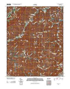 Ivydell 2010 topographic map thumbnail