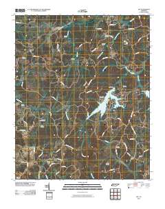 Life 2010 topographic map thumbnail