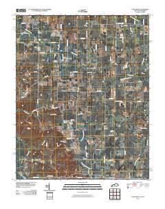 Lynn Grove 2010 topographic map thumbnail
