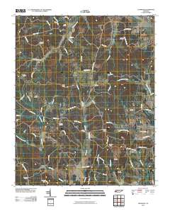 Leapwood 2010 topographic map thumbnail