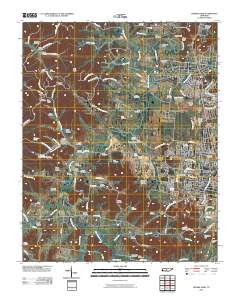 Leipers Fork 2010 topographic map thumbnail