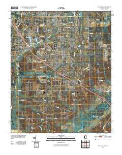 Olive Branch 2010 topographic map thumbnail