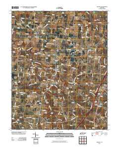 Orlinda 2010 topographic map thumbnail