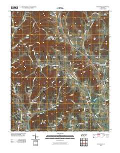 Petersburg 2010 topographic map thumbnail