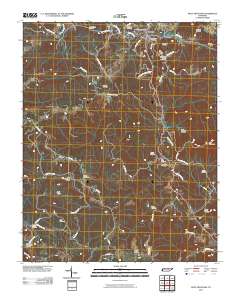 Pilot Mountain 2010 topographic map thumbnail