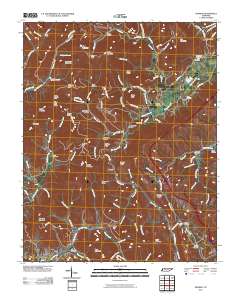 Pioneer 2010 topographic map thumbnail